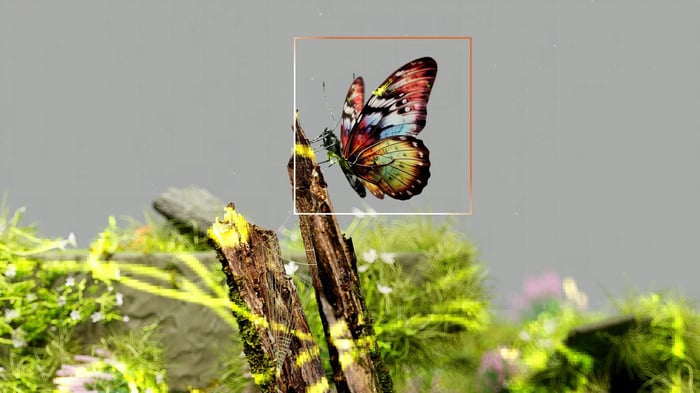 Vibrant butterfly resting on mossy wood surrounded by fresh greenery.